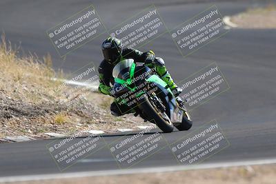 media/Nov-03-2023-2WTD (Fri) [[efa4da844c]]/B Group/1220pm (Turn 4a)/